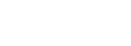 Synerive Consulting